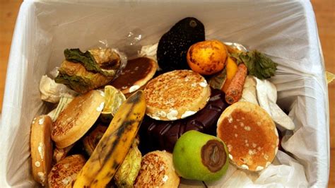 Sheffield to begin trial of food waste collection .